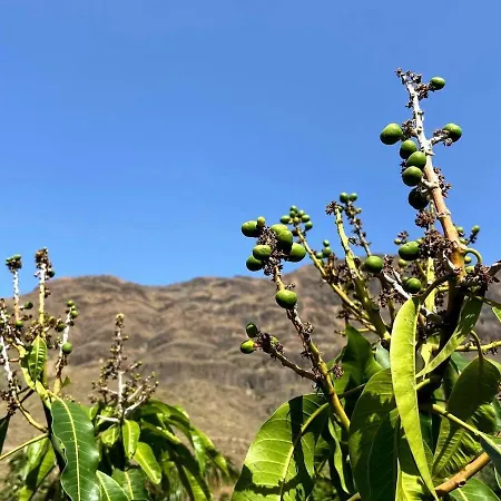 Finca Laxmi Apartmán *